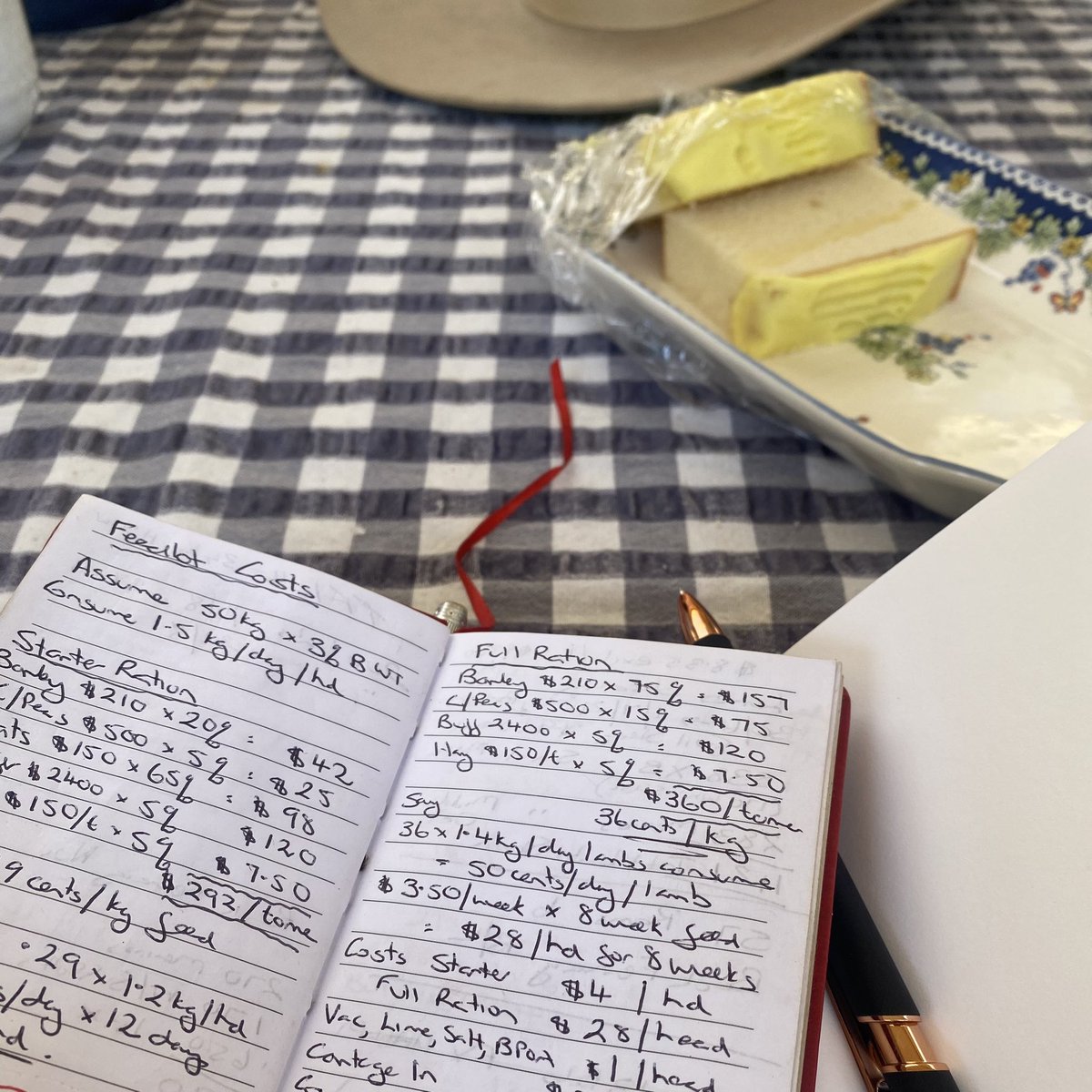 🍰Cake and 💰Feedlot Budgets.
Two of our favourite things.

We also love the gold that farmers have in their pocket books!!