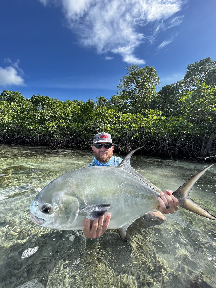 Nice permit!
Brent of the Andrus Bros Group wasted no time on day one when he caught this permit with spin gear while fishing with Capt. Kristian.

#elpescadorbelize #saltwaterfishing #permitfishing