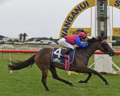 PMBRacing's tweet image. New winner &amp;amp; our 66th for the current Australasian '22-23 racing season - Chantilly Lace (2yo f U S Navy Flag x On The Move) for @ChrissyBambry at Wanganui, NZ. 1st SHT winner for U S Navy Flag.