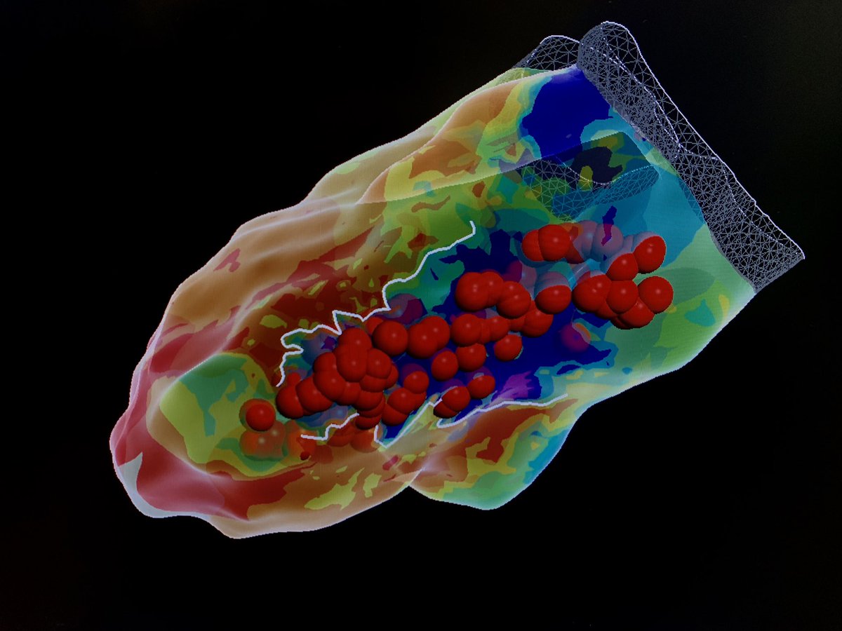 EP Orlando tweet media
