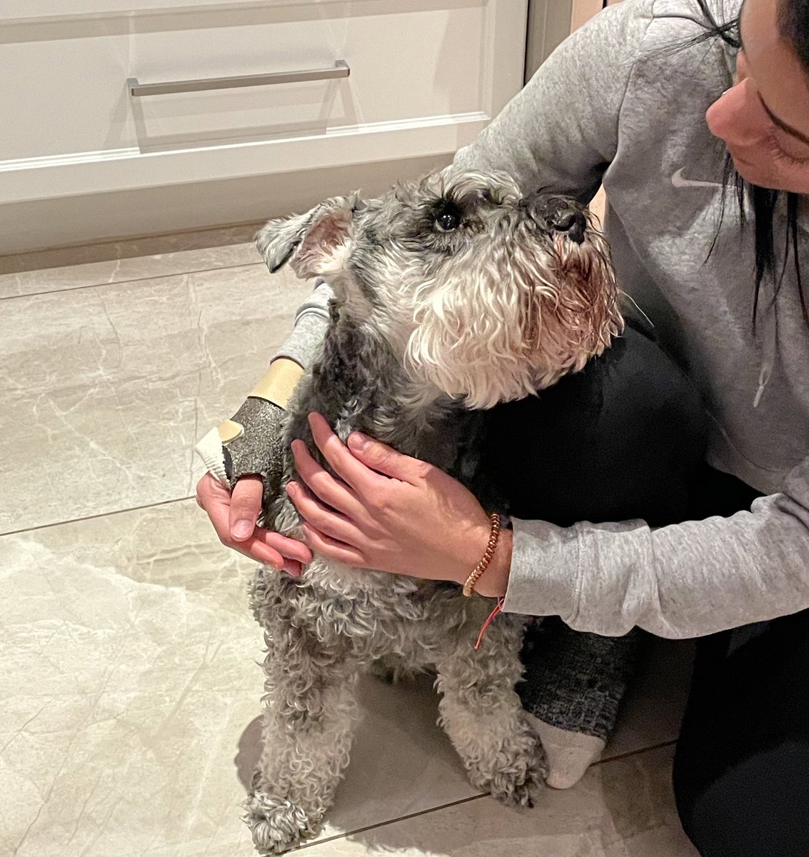 Trauma &amp; Johnny. 3 weeks to go.