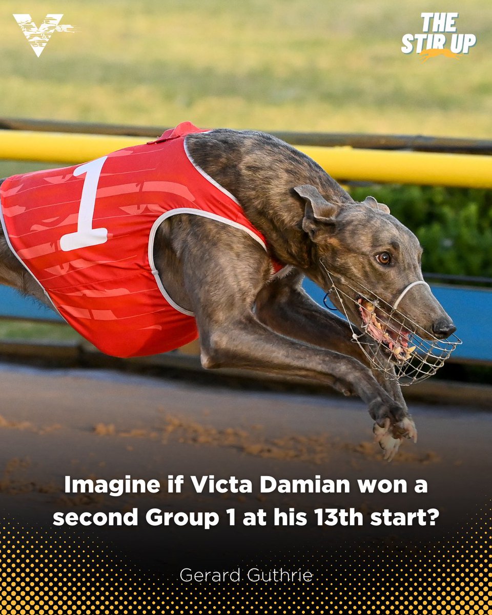 WatchDogRacing's tweet photo. Victory for ‘Victa’?
VICTA DAMIAN could be a dual Group 1 winner after Saturday night’s #AustralianCup Final at @MelbourneGreys.
@gedguthrie dissects the finale to the Unmissable Australian Cup Carnival in #TheStirUp.
📰 https://t.co/Vf4RgqRNOc
#GreyhoundRacing #PremierRacing https://t.co/Uh6qMyl4AW