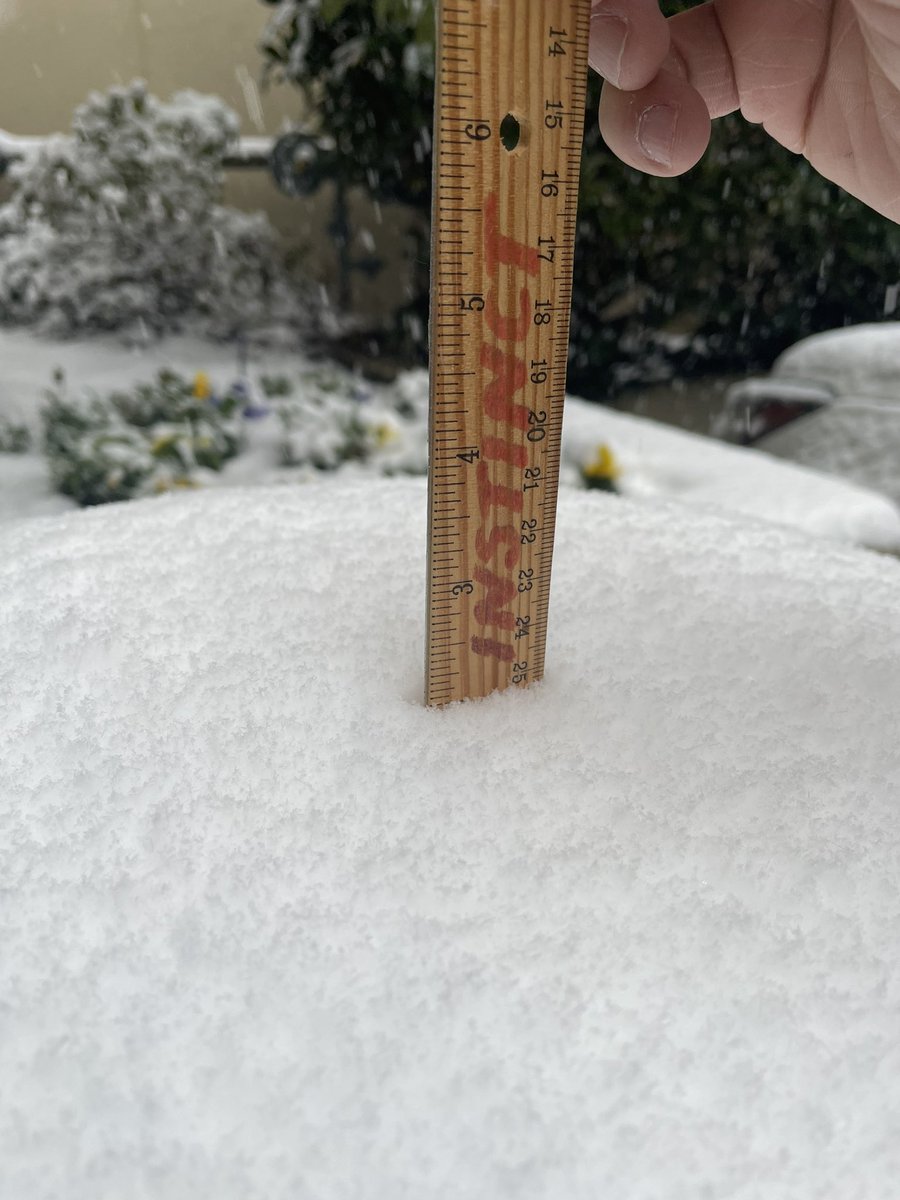 JessSatin's tweet photo. As of 4:30 PM 2 inches of snow have accumulated in Northeast Portland at our @KATUNews parking lot. https://t.co/d2gcRFxZv0