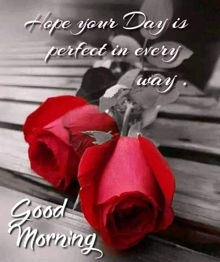 ract005's tweet image. Good morning，Cable is on sale，rg59 rg6 cat5e cat6 sdi.