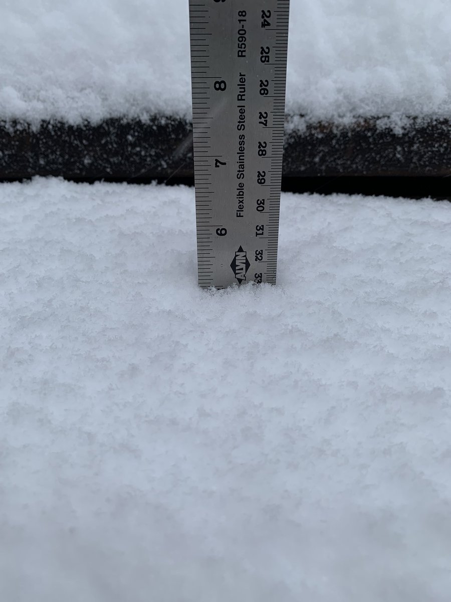 Ellen Wilde tweet media