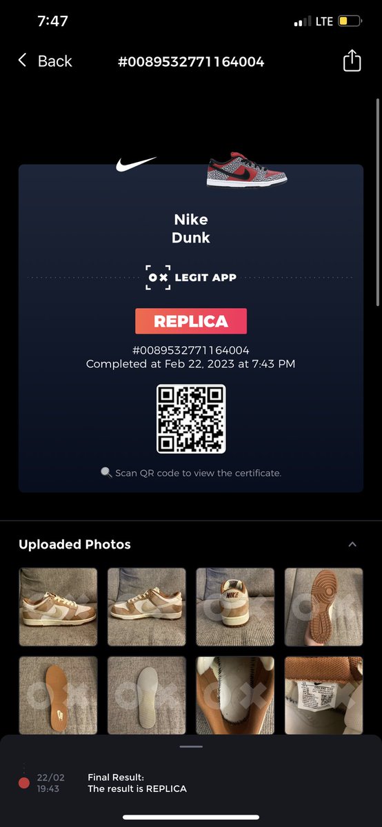 Goldie Goglia tweet media