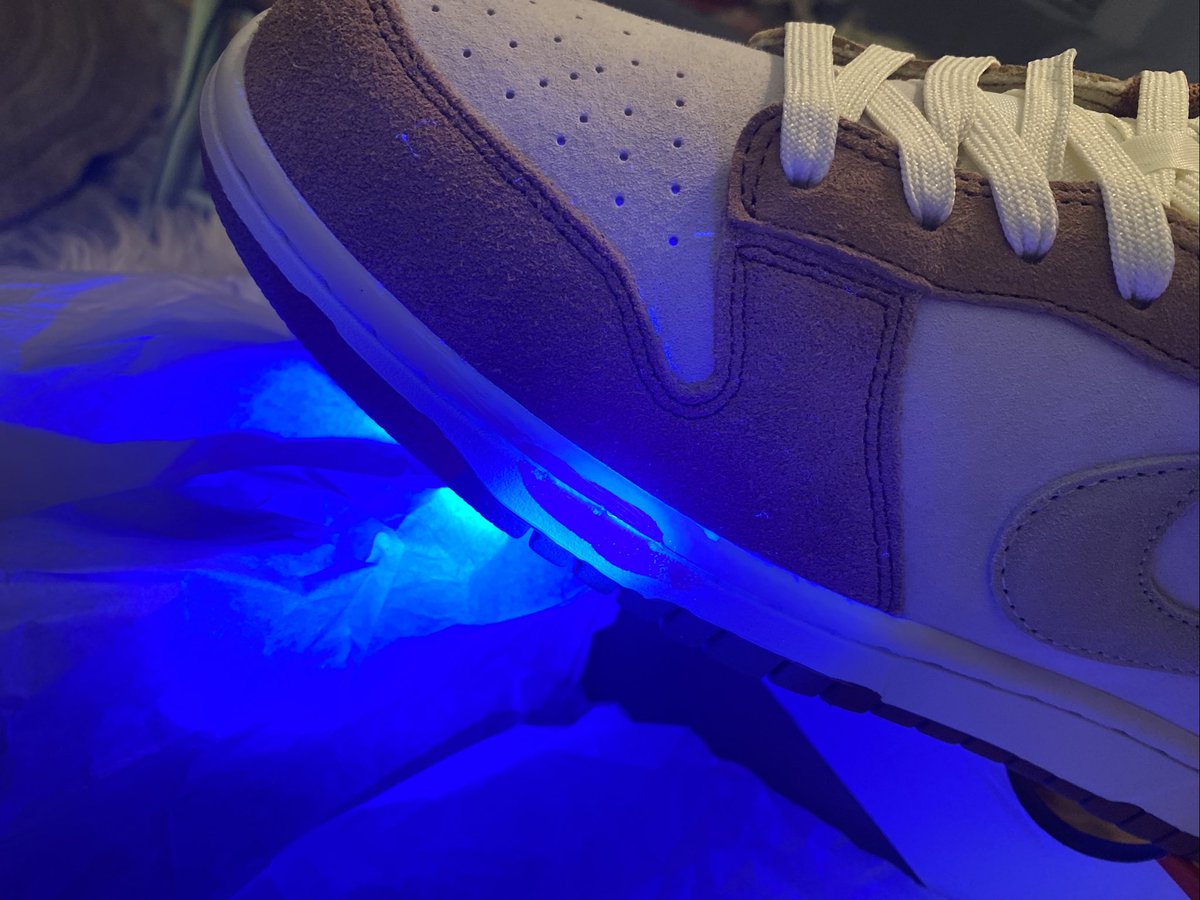 Goldie Goglia tweet media