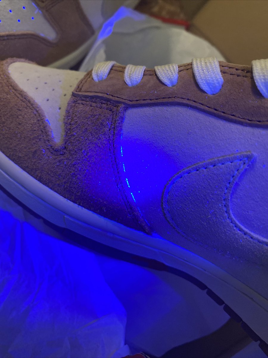 Goldie Goglia tweet media