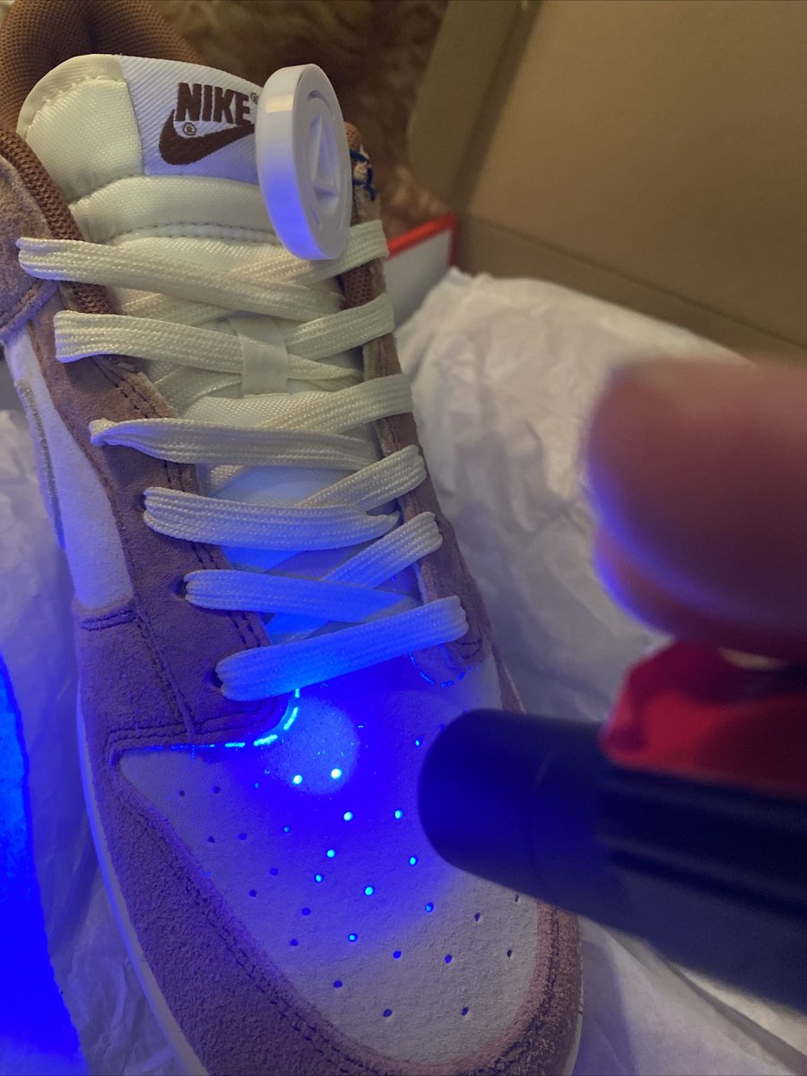 Goldie Goglia tweet media