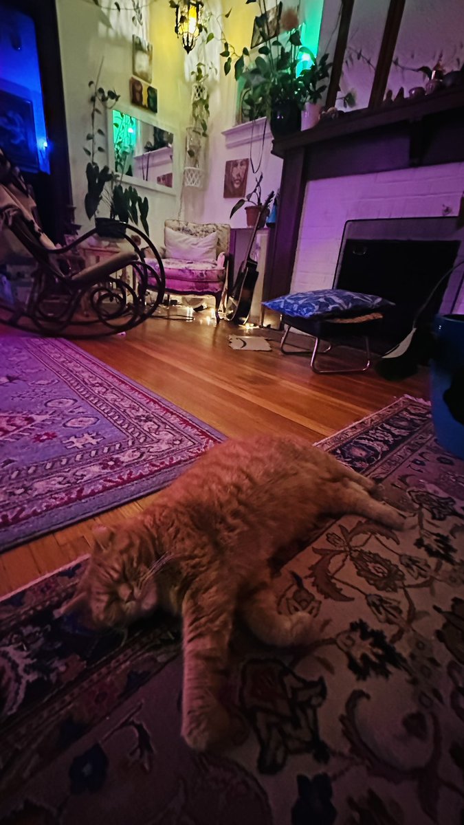 باع النومة 🤦🏻‍♂️