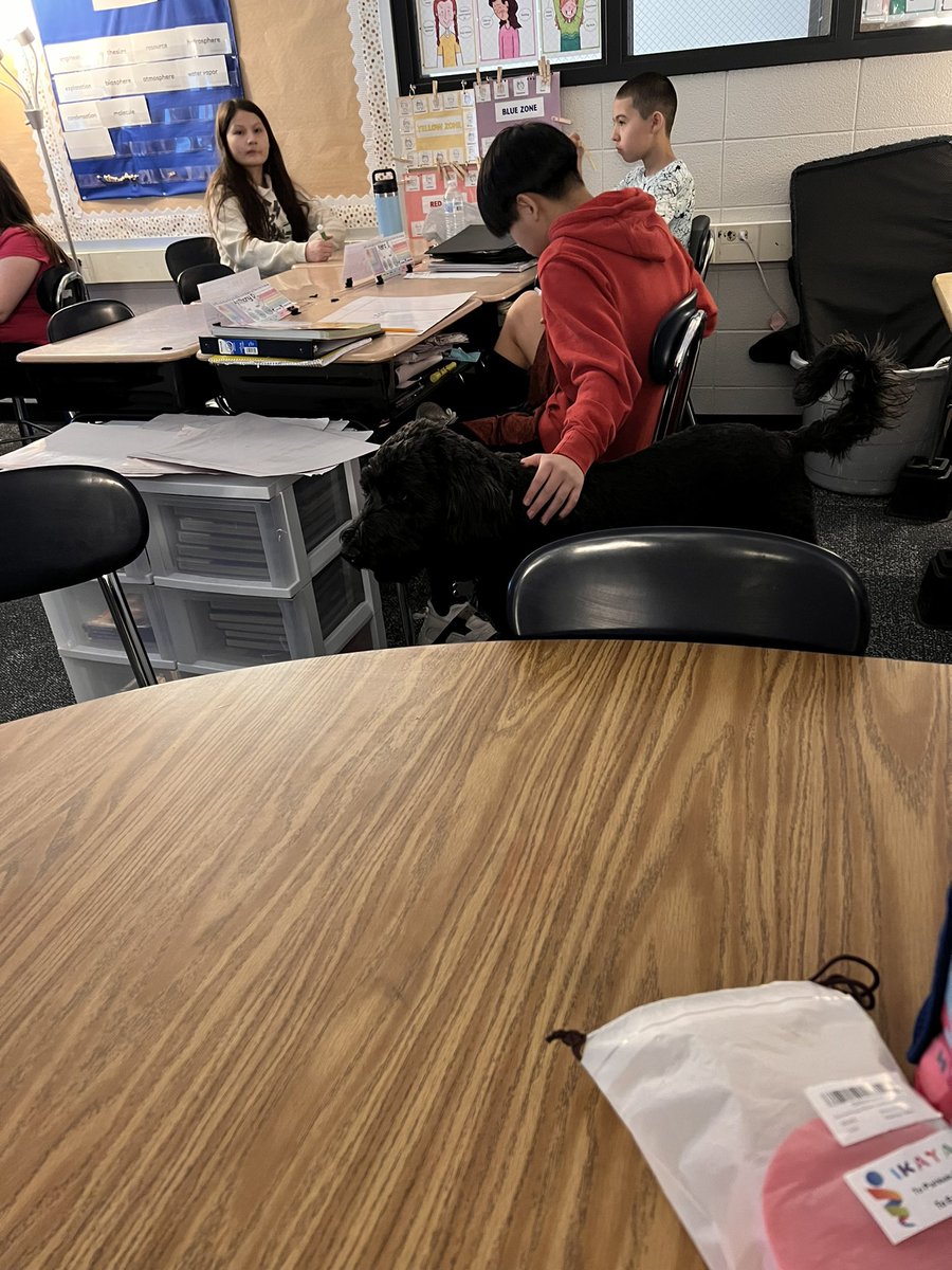 mirandaKnipfer's tweet photo. These 5th graders love Tucker days! Especially when they are greeted with his favorite hedgehog. @NorrisElem https://t.co/gwjlAhIUEI