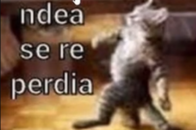 gomi tweet media