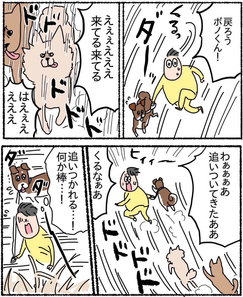 飼い犬と一緒に野犬と戦ったあの頃① 