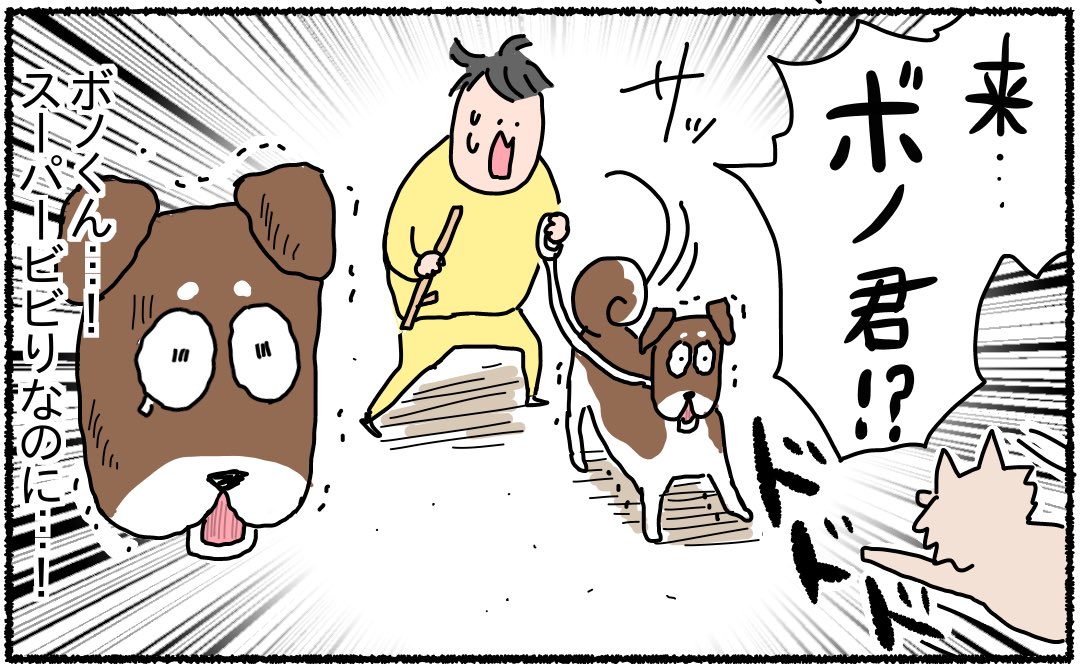 飼い犬と一緒に野犬と戦ったあの頃① 