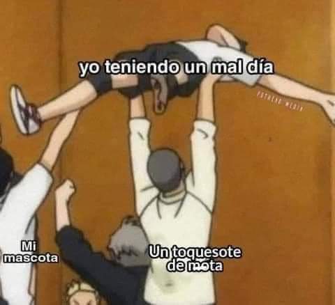 BreakinGatos's tweet photo. Mal día https://t.co/7eC8Aju0G8