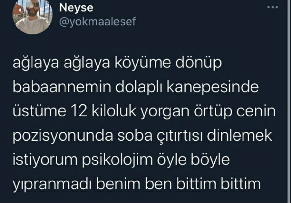 Alnı Öpülesi Tivitler (@alniopulesitivt) on Twitter photo 