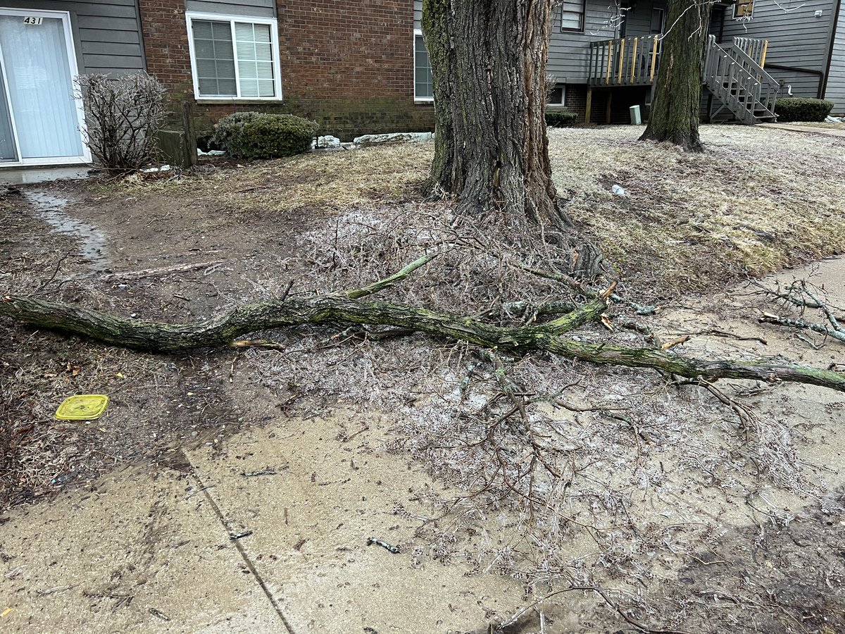 AsianWeather on Twitter "RT Emokwx Measured .25” of ice accretion in Dekalb, IL. Tons of tree