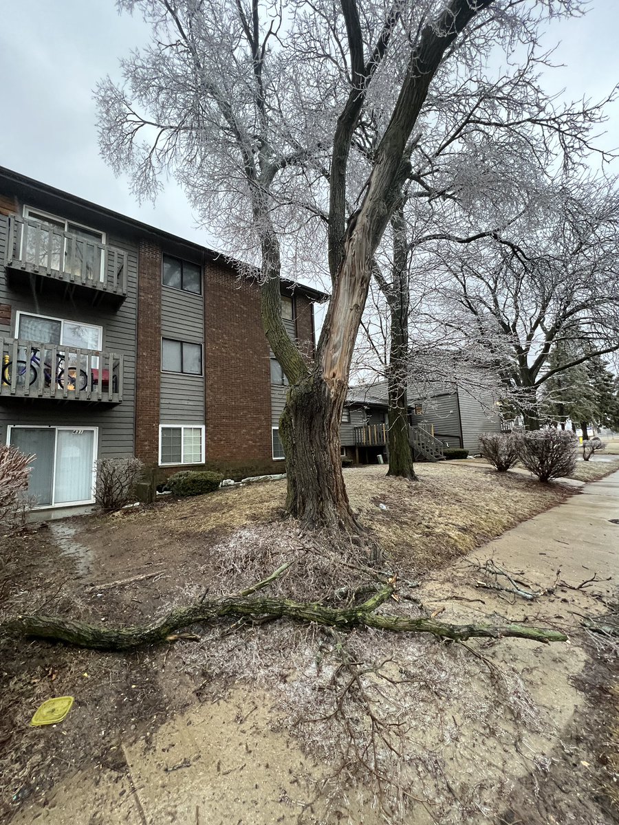 AsianWeather on Twitter "RT Emokwx Measured .25” of ice accretion in Dekalb, IL. Tons of tree