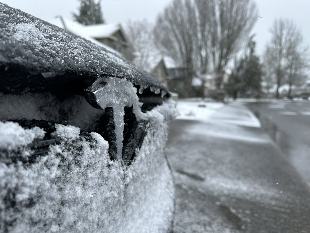 TeslaRyanRogue's tweet photo. @TeslaBoomerMama @28delayslater Send Earl home and take the cold weather back north! #teslanw #teslasafe https://t.co/LYy9CJUz4s