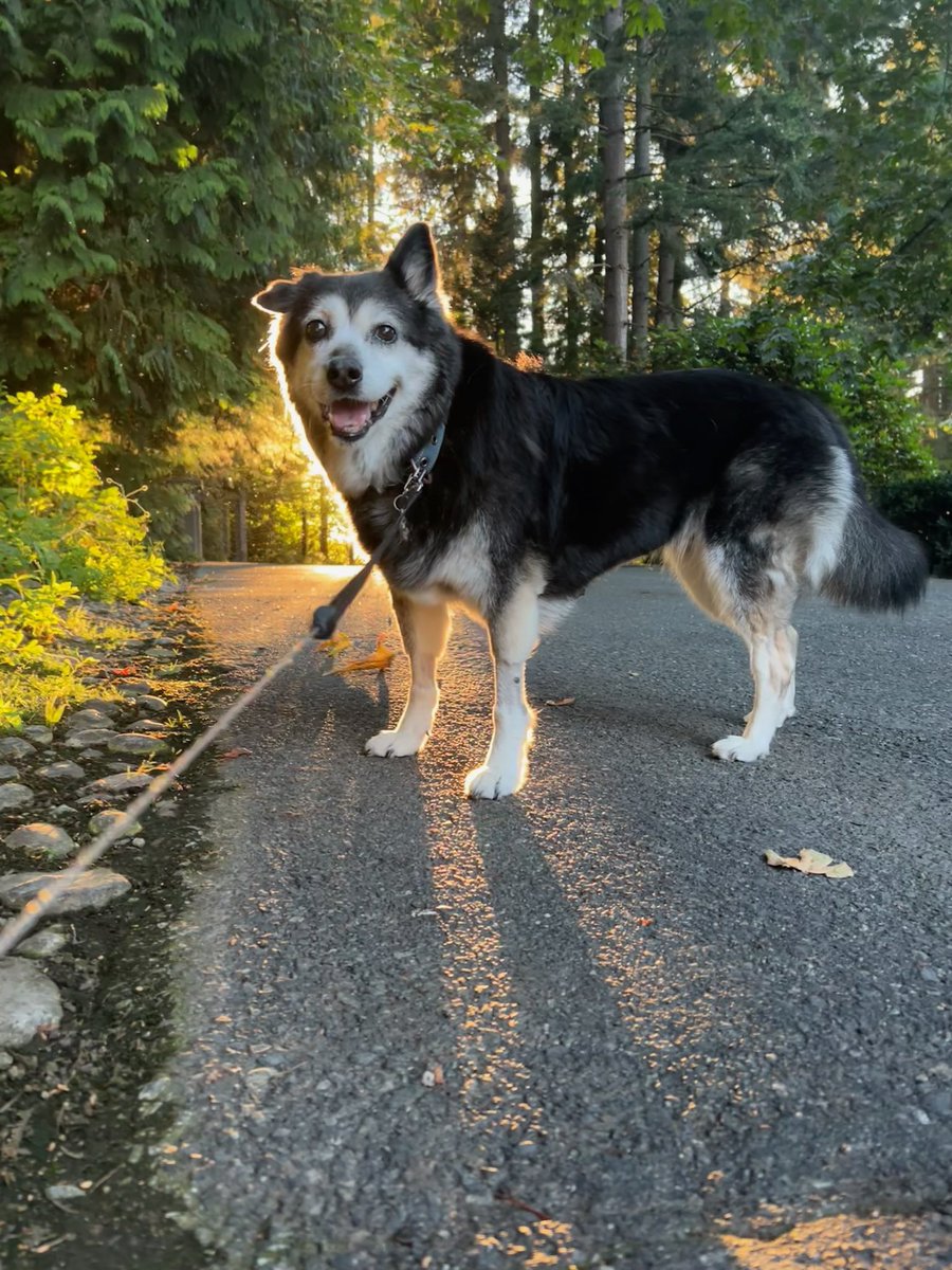 Rest in peace, Lucy.