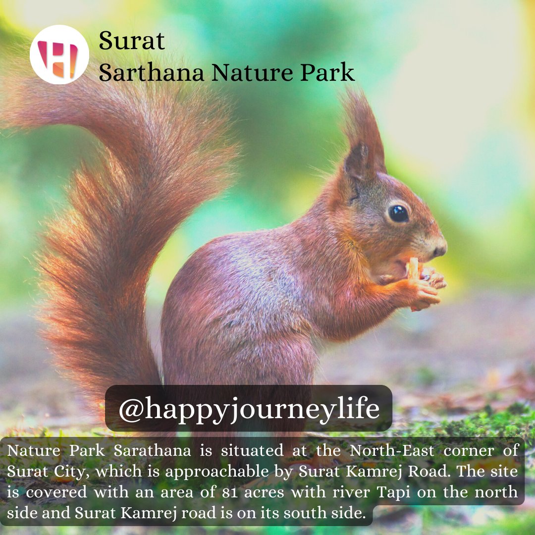 Sarthana National Park in Surat is one of the leading businesses in the Parks. Also known for Solar Panel Manufacturers,
#SarthanaNP #Surat #Wildlife #Nature #Gujarat #Tourism #Adventure #Photography #Exploring #Biodiversity #Green #Animals #india #Happyjoureylife #hjlifeservices