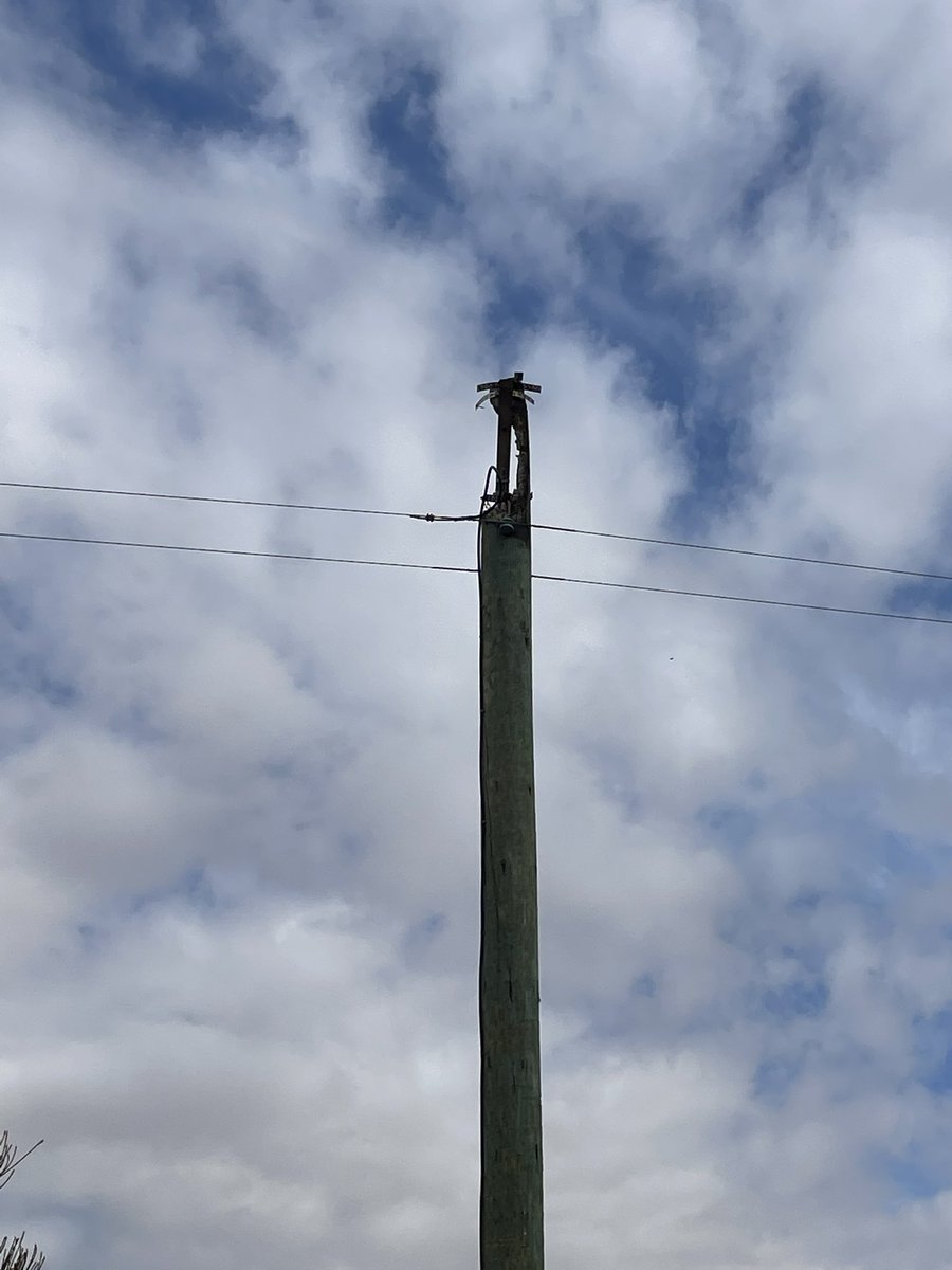 Dean Wyatt tweet media