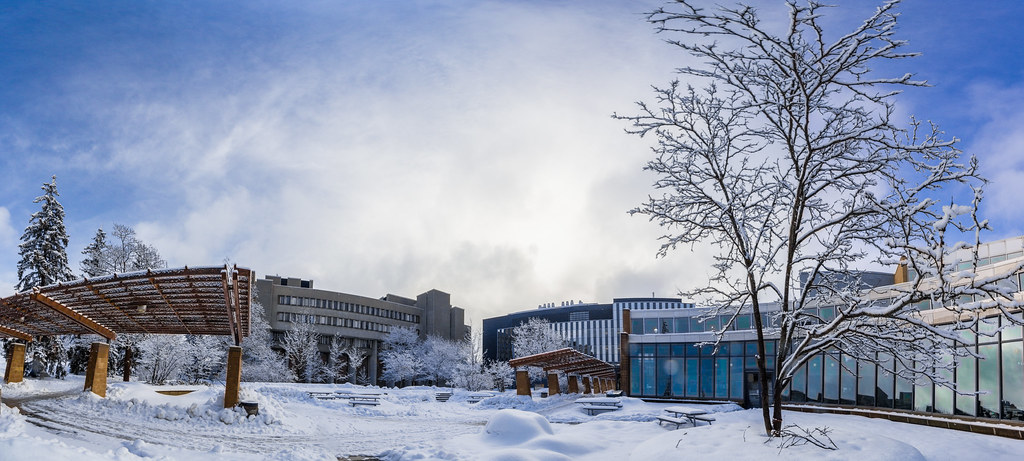 University of Waterloo tweet media