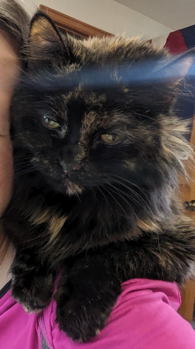 EVERYONE STOP AND LOOK AT CAMILLA