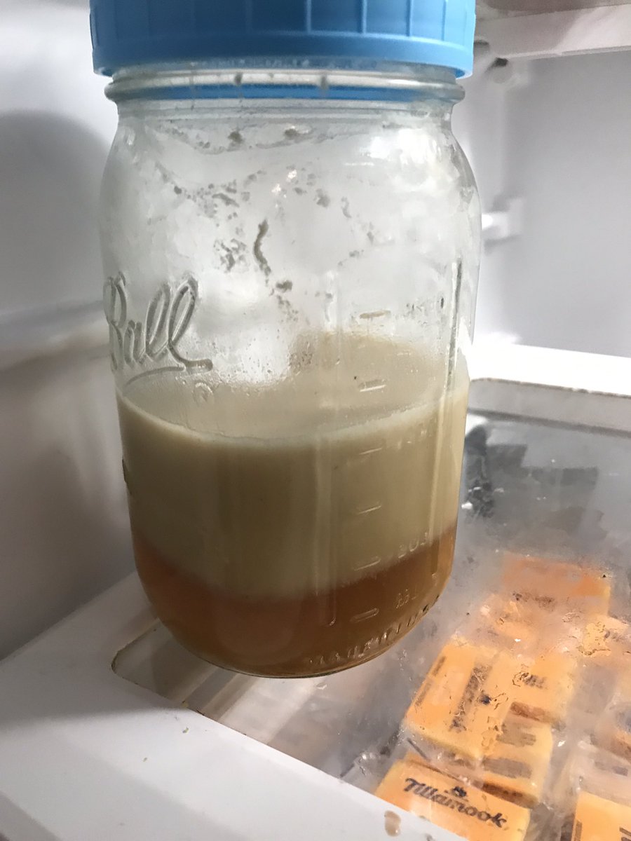 Probably at least 6 chickens in that pint. Funny how the shit that looks gross is so often the most delicious.

That is not fat. I skimmed it a lot. I don’t understand why it separated. It’s like a 5th state of chicken or something.