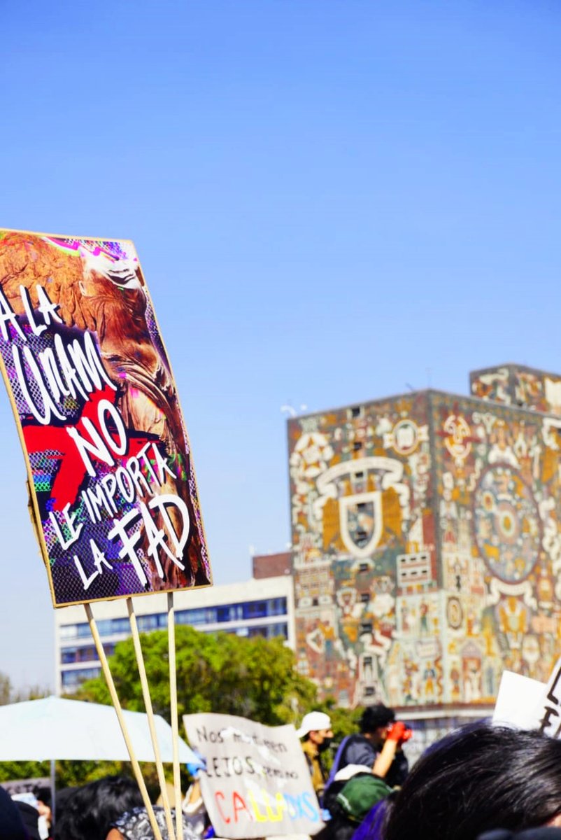 CEU_UNAM tweet media