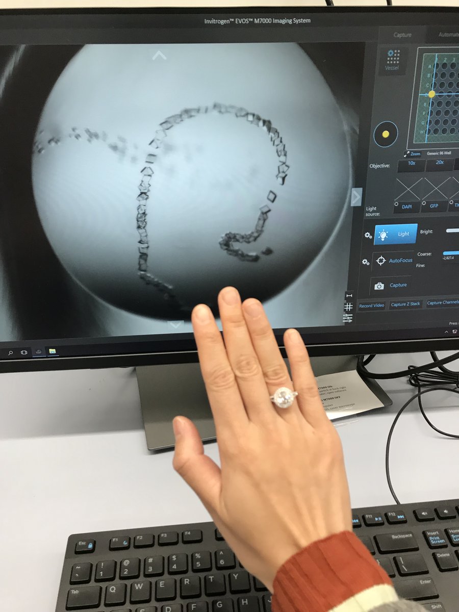 gammaDave1's tweet photo. Coming full circle @iserworld #iserwow2023
The room our eyes first met at #ISER2018
The ring💍 @EyeDaisyShu
Presenting the crystal structure of the eye lens protein derived from the ring at #ISER2023 https://t.co/OO6YzAzb9q