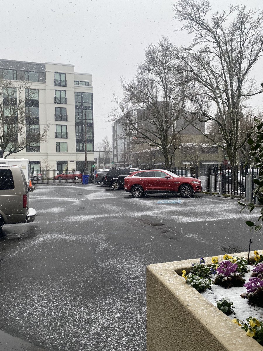 Dayne Young on Twitter hit a record high today with some