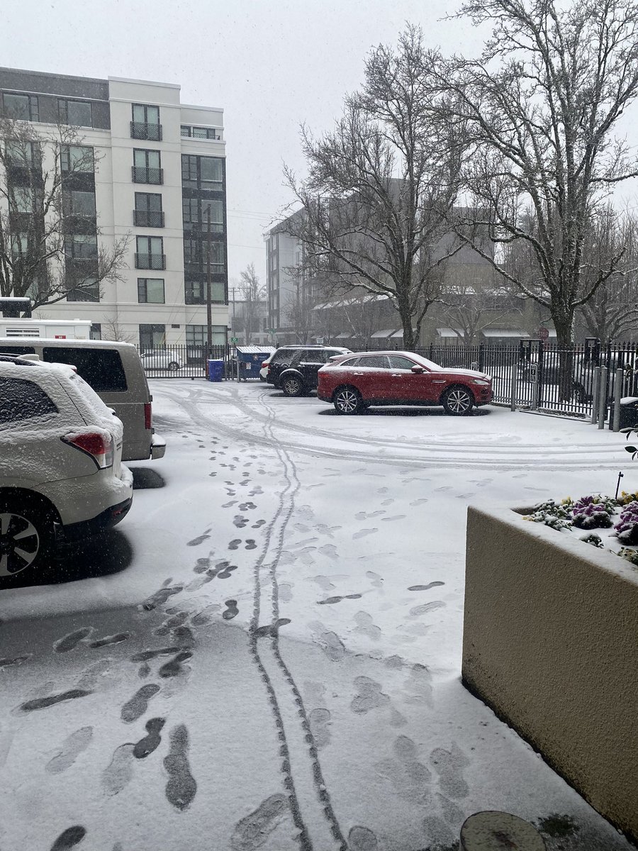 Dayne Young on Twitter hit a record high today with some