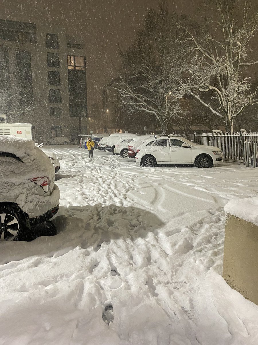 Dayne Young on Twitter hit a record high today with some