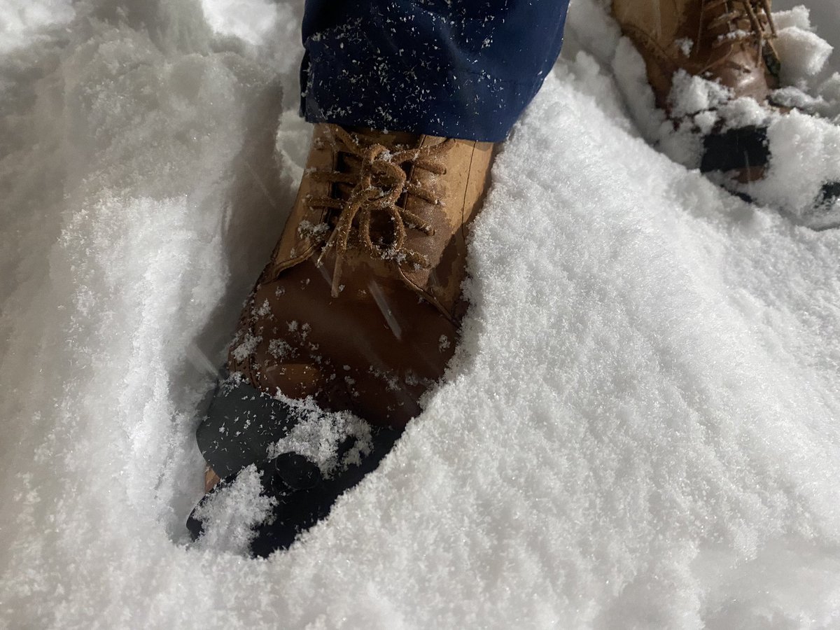 Dayne Young on Twitter hit a record high today with some