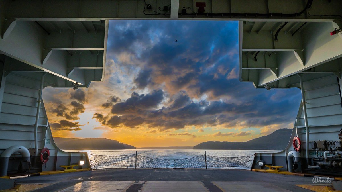 Wheels (Sean) tweet media