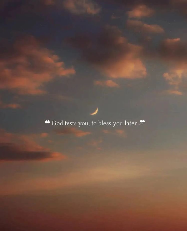 Jose Rivas tweet media