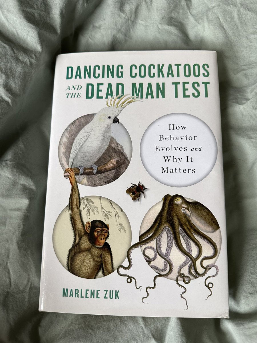 Dancing Cockatoos and the Dead Man Test