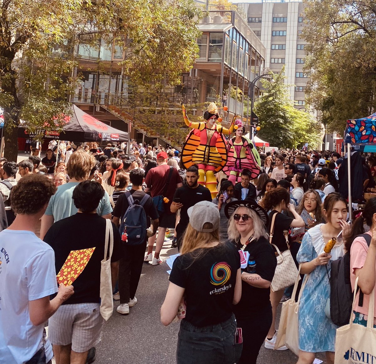 Lathe Jones tweet media