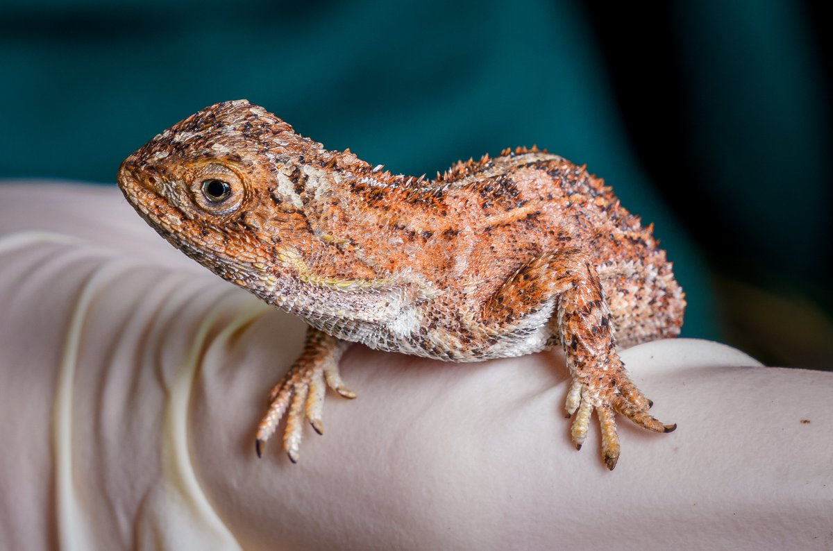 wakeupsitt tweet media