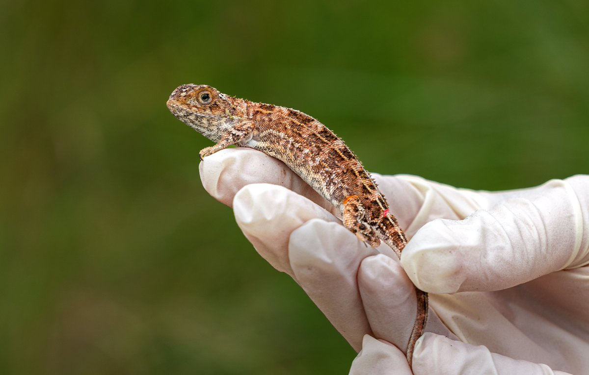 wakeupsitt tweet media