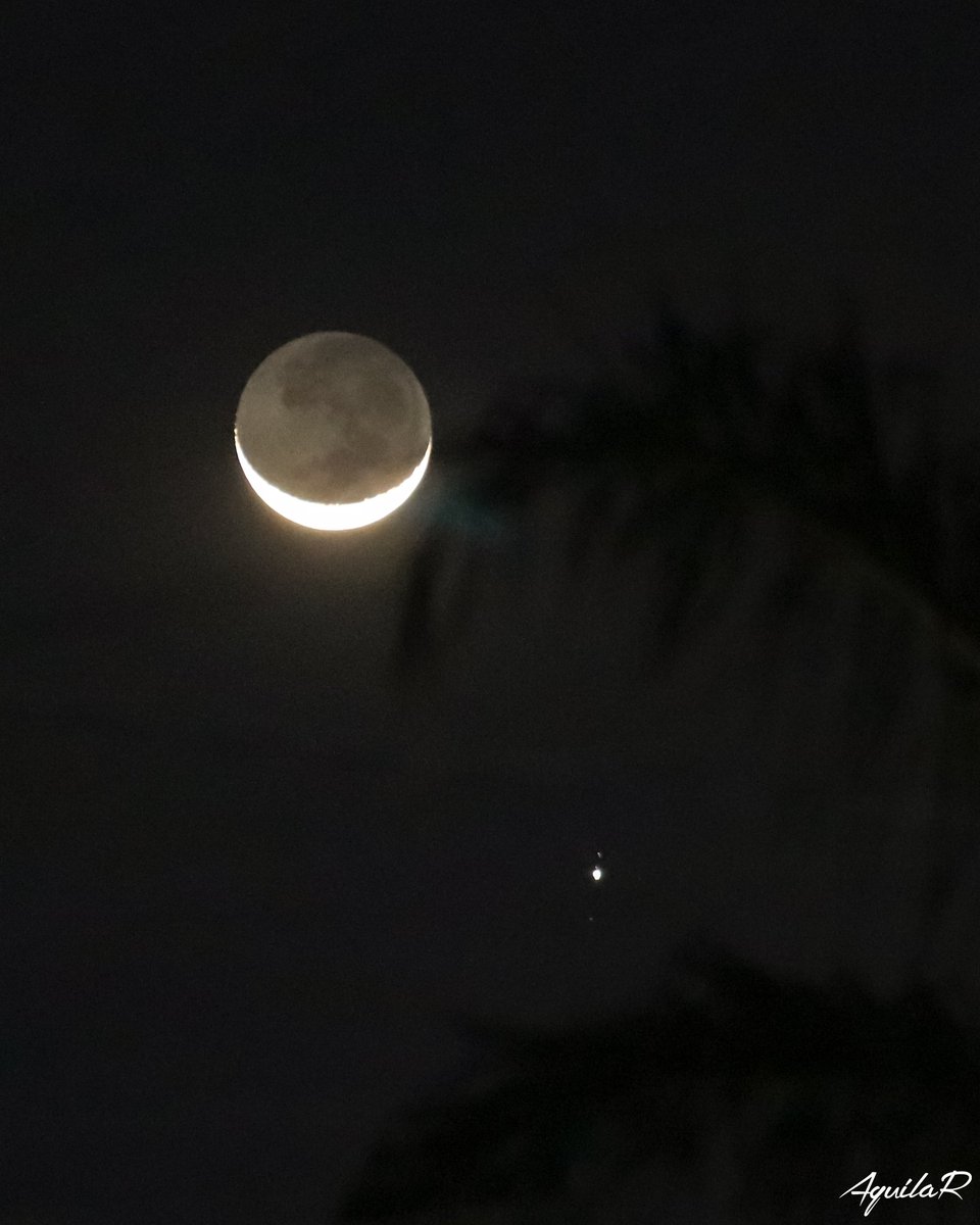 _Nando_Aguilar's tweet photo. Una luna sonriente.

Buenas noches #DoñaSelene

🌘🌘🌘🌘 https://t.co/0MFLCtr483