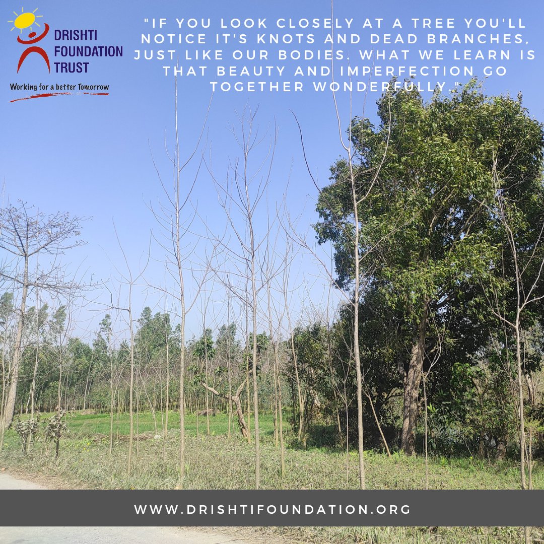 'Even when it has no leaves due to the season, trees shows its majestic beauty and the power'.
@dkgautam007 @Saket_Badola @lifeindia2016 @TreesforCities @Treesftf @ACI_IMPACT @AncientTreesATF @DEFCCOfficial @CIFOR
#nature #NaturePhotograhpy #ForestforFuture #SpringsteenTour2023