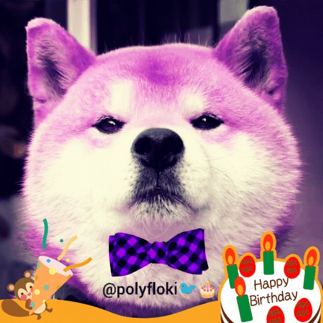 PolyFloki 💜 Doggone 👾 tweet media