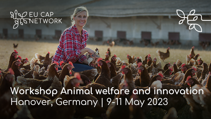 📣 Open call! The #EUCAPNetwork workshop 'Animal welfare and innovation' will explore innovative practices and practical knowledge on #animalwelfare 🐷🐓 🗓️ 9-11 May 2023 📍 Hanover, Germany Learn more and apply by 27/02 👉 kont.ly/848b8d00mal