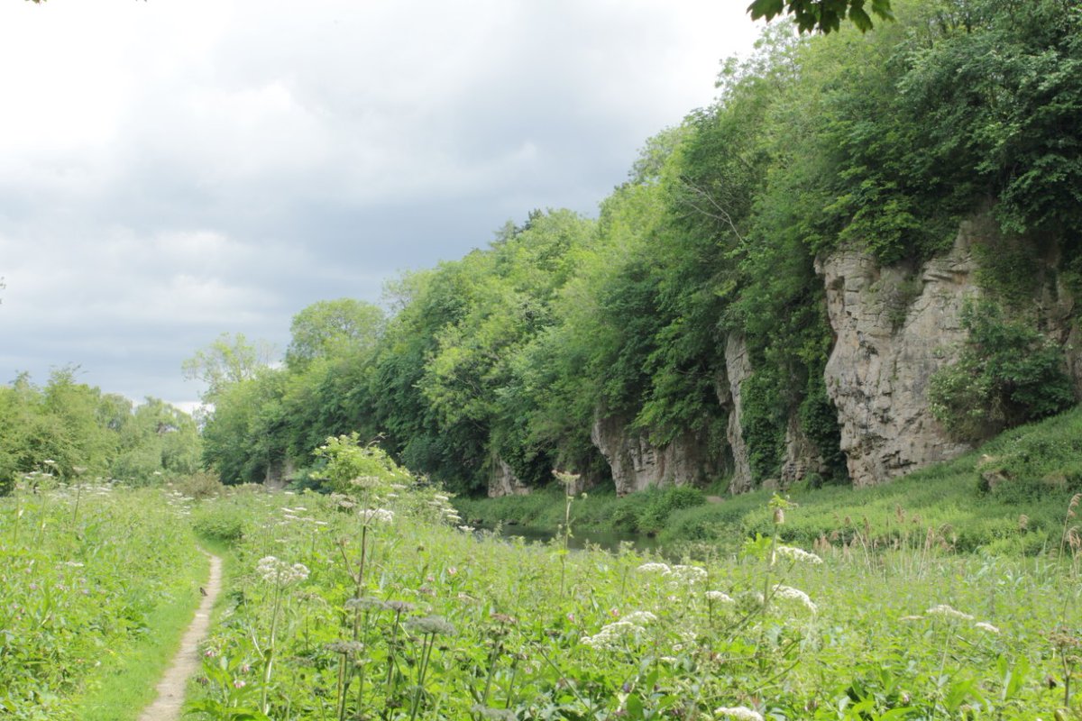 Looking forward to welcoming Dr Kevin Kuykendall to the Museum today. He is giving the lunchtime talk:

In Search of the Palaeolithic Landscape at Creswell Crags

@CreswellCrags  @UoNLibraries @UoNArch @LakesideArts