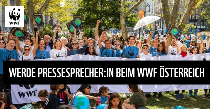 Ich bin ja sonst kein Freund von Superlativen. Aber das ist der beste Job im besten Team der besten Umwelt-NGO. Bewerbt euch! (Sonst nehm ich es persönlich) wwf-at.onlyfy.jobs/job/w1qq9x77