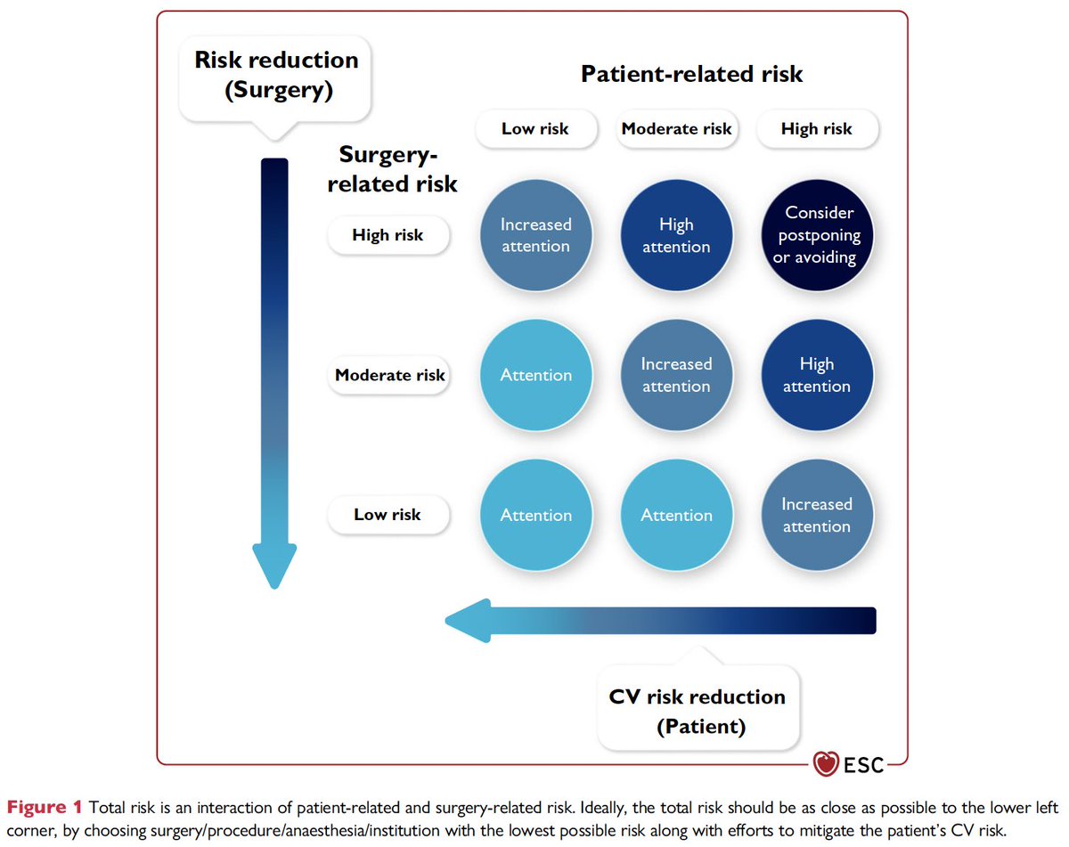 Gansrob's tweet photo. A new issue of the newsletter by #EBIM Educational Platform of #internalmedicine is out! Enjoy EBIM in the Loop, Feb 22 https://t.co/LPonKa8gdh https://t.co/nFdIGywEbc