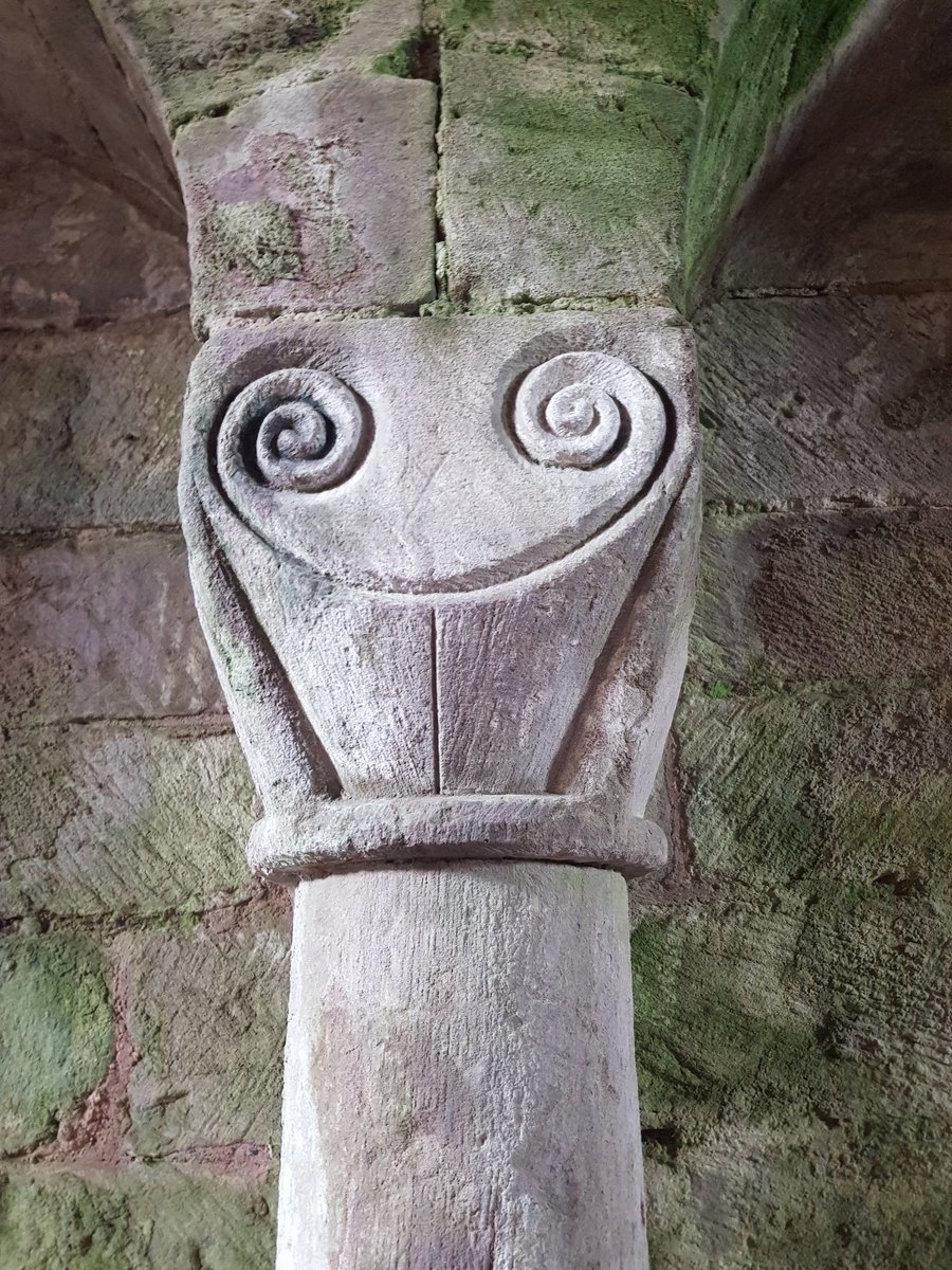 Isabel Mathias tweet media