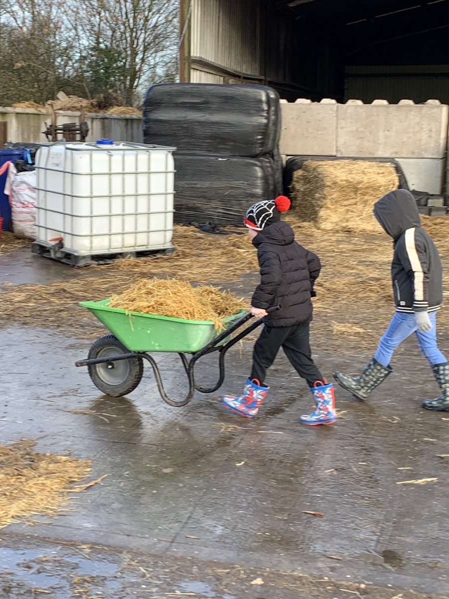 St Peter & St Paul on Twitter "Morning jobs include mucking out and